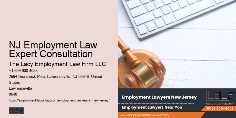 NJ Employment Law Expert Consultation Civil Rights Employment Lawyer