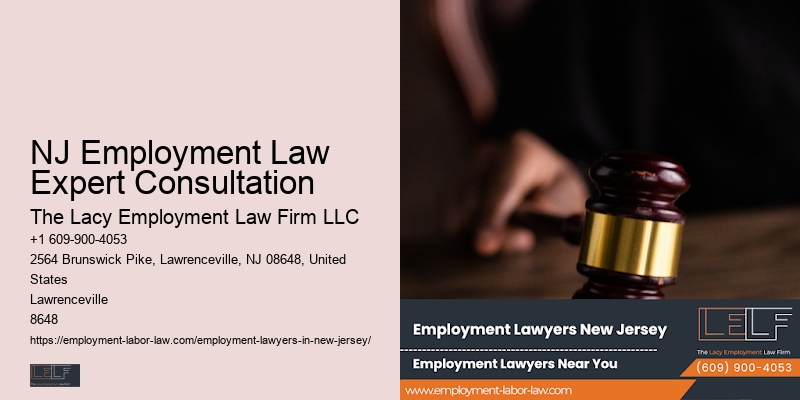 NJ Employment Law Expert Consultation Employee Advocacy Lawyer