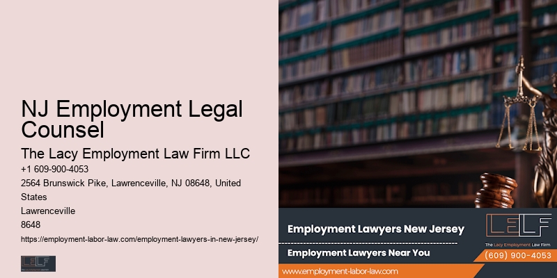 Employment Litigation Lawyer NJ