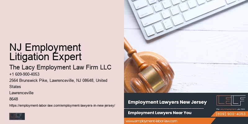 NJ Employment Litigation Expert