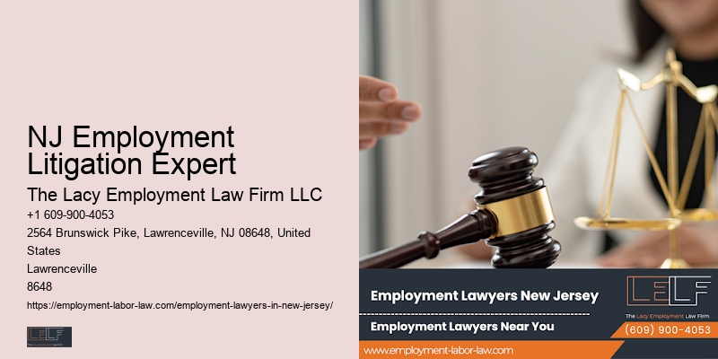 NJ Employment Litigation Expert Employment Lawyer For Professionals