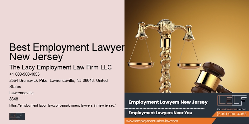 Best Employment Lawyer New Jersey Employment Litigation Attorney