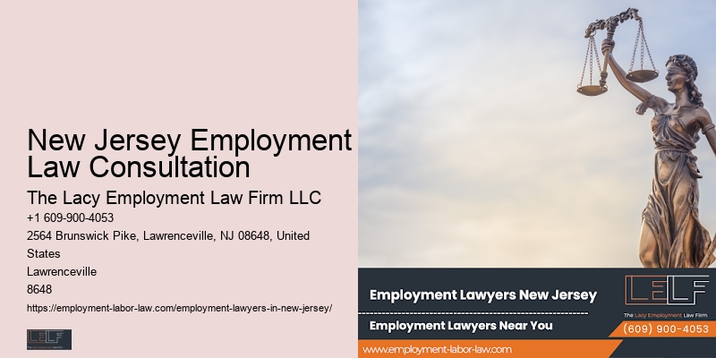Affordable Employment Lawyer In New Jersey Employment Law Consultation