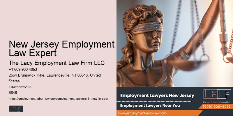 New Jersey Employment Law Expert Workplace Legal Assistance