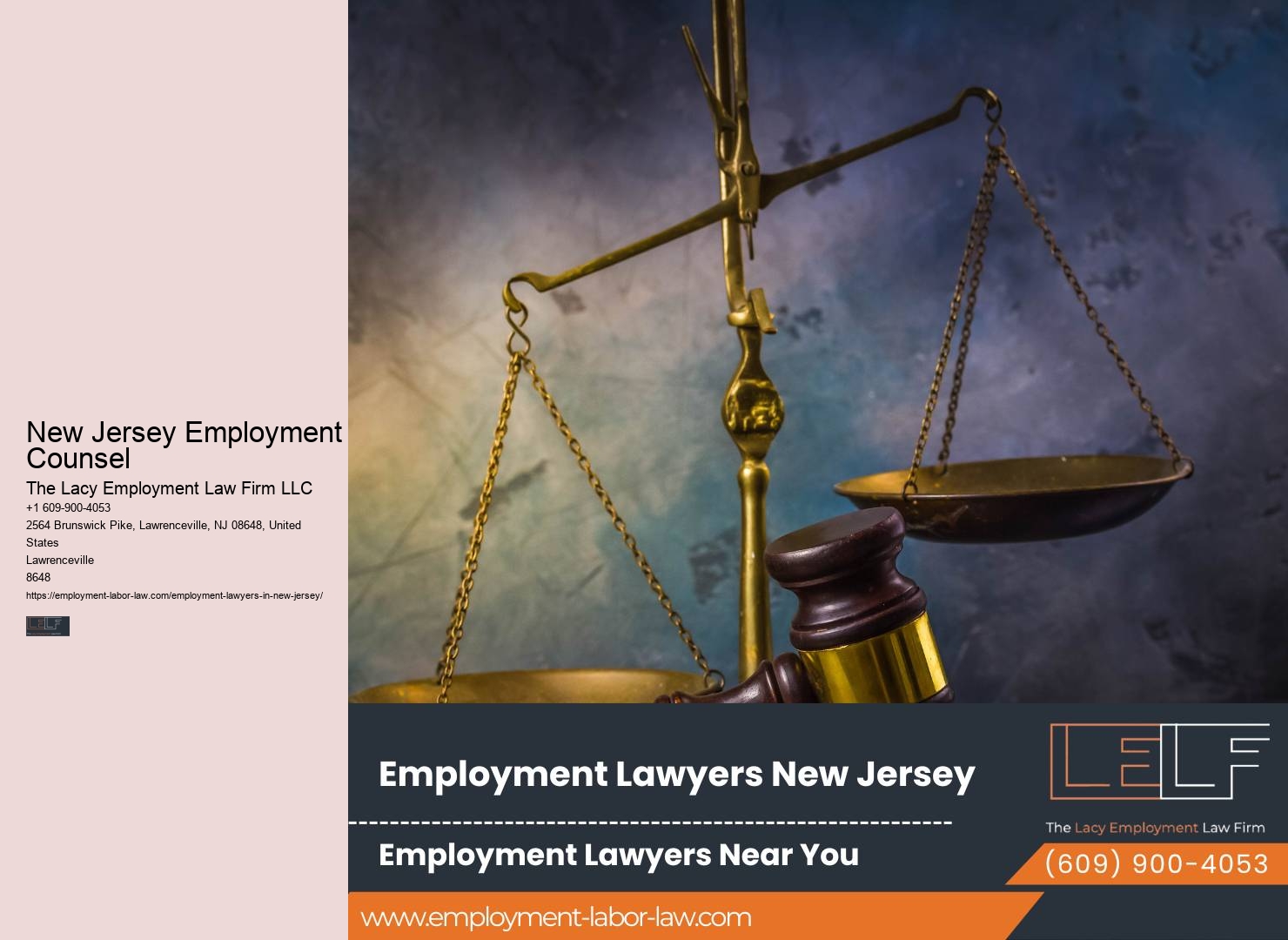 NJ Employment Law Specialist Services