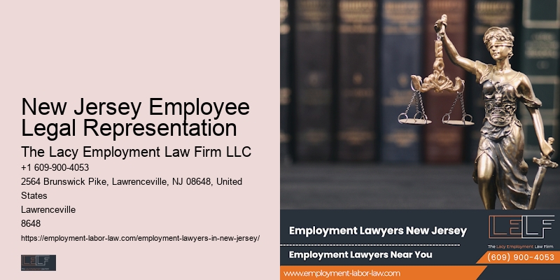 Skilled NJ workplace lawyer