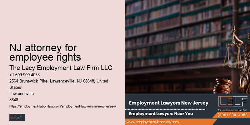 NJ employment contract lawyer legal support