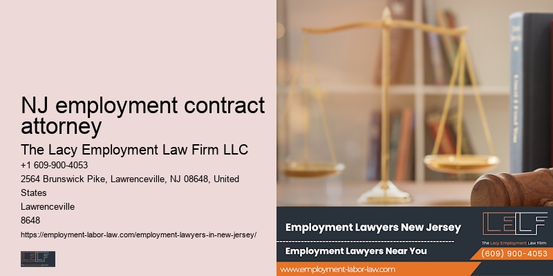 Employment litigation attorney NJ