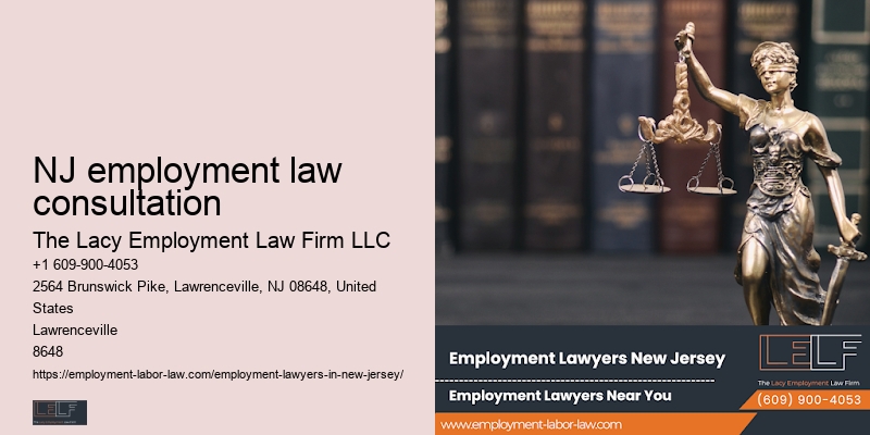 Employment Litigation Lawyer NJ