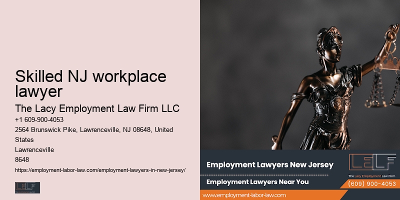 Skilled NJ workplace lawyer wage and hour lawyer efficient