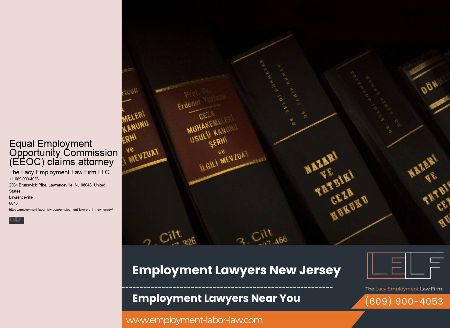 Employment contract review NJ