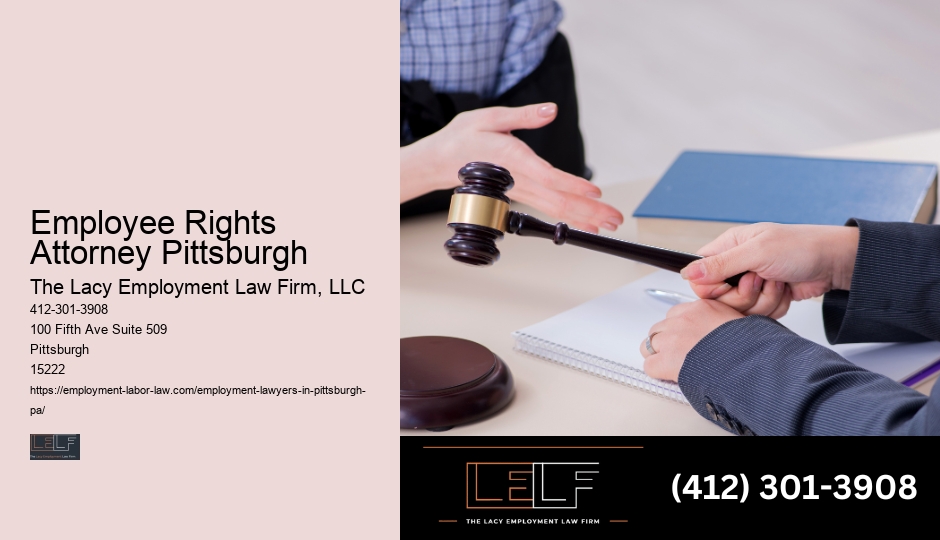 Pittsburgh Employment Law Attorney